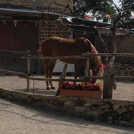 Κατάλυμα σε φάρμα La Rosa Dei Venti *