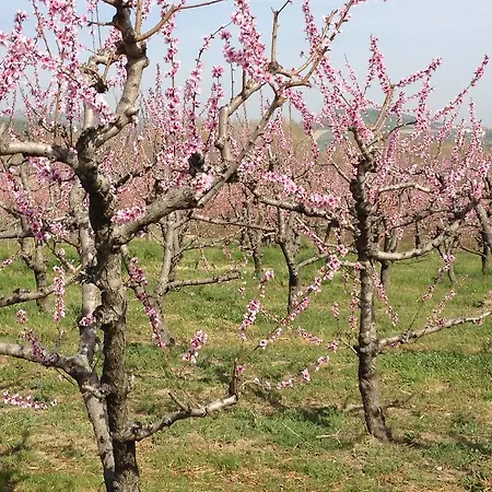 Vakantieboerderij La Rosa Dei Venti