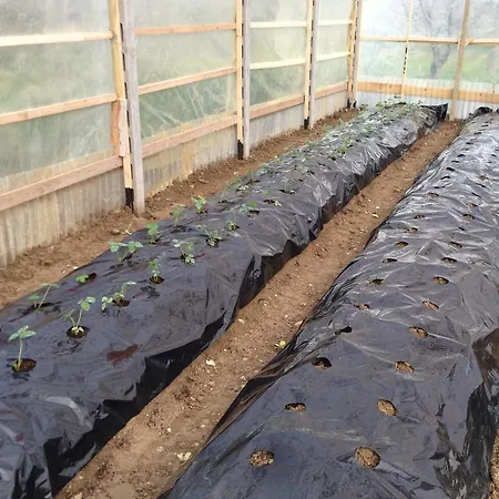 La Rosa Dei Venti Λαντσιάνο