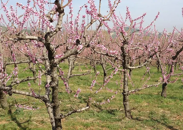 Alojamento de Turismo Rural La Rosa Dei Venti