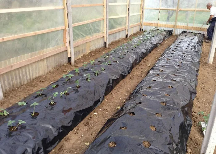 La Rosa Dei Venti Lanciano